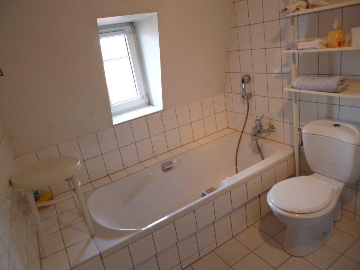 Albrecht Guest Apartement Kembs Exterior foto